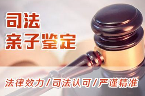 果洛司法DNA亲子鉴定如何办理,果洛司法DNA鉴定要多少费用